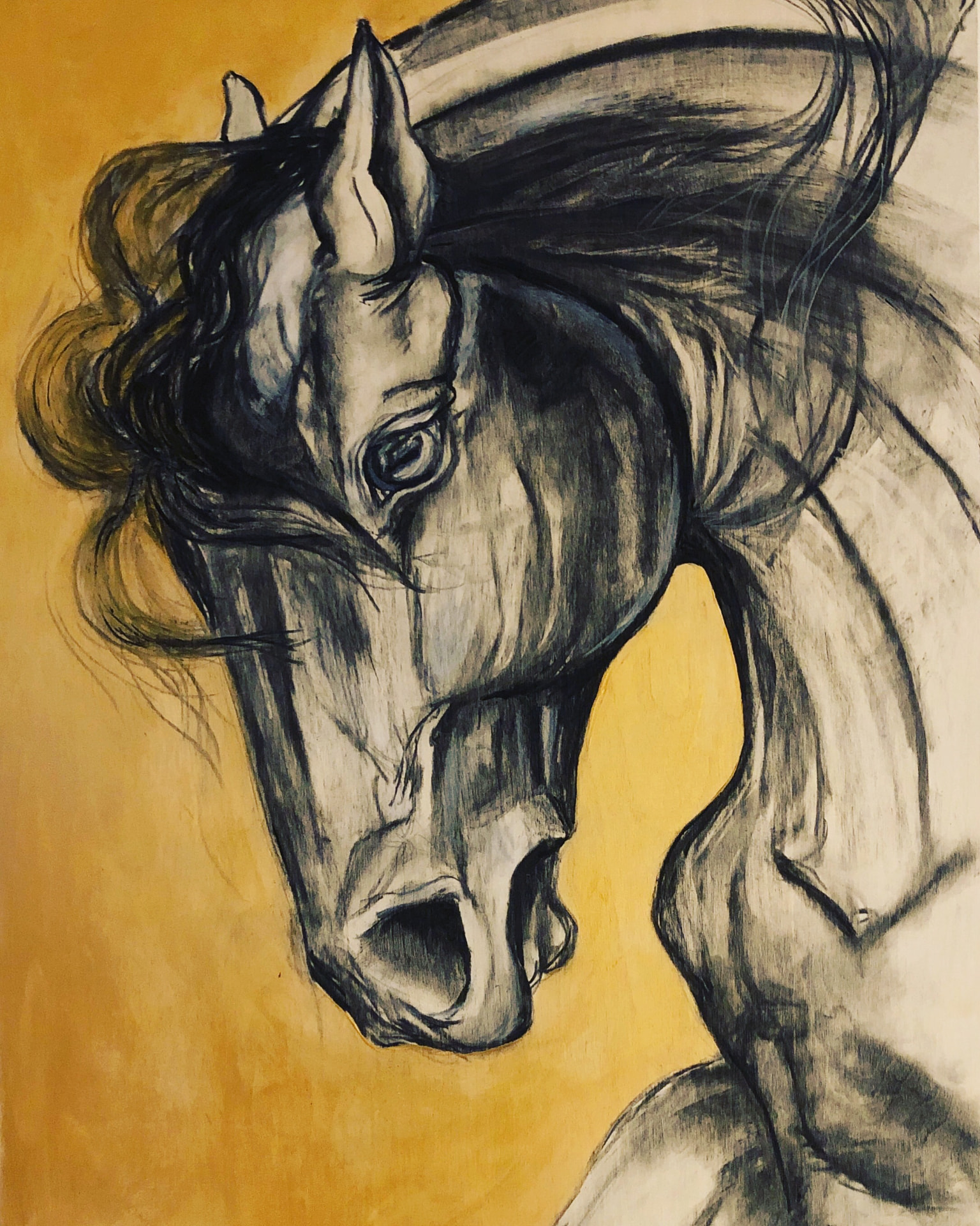 Charcoal-style horse with flowing mane against a golden ochre ground