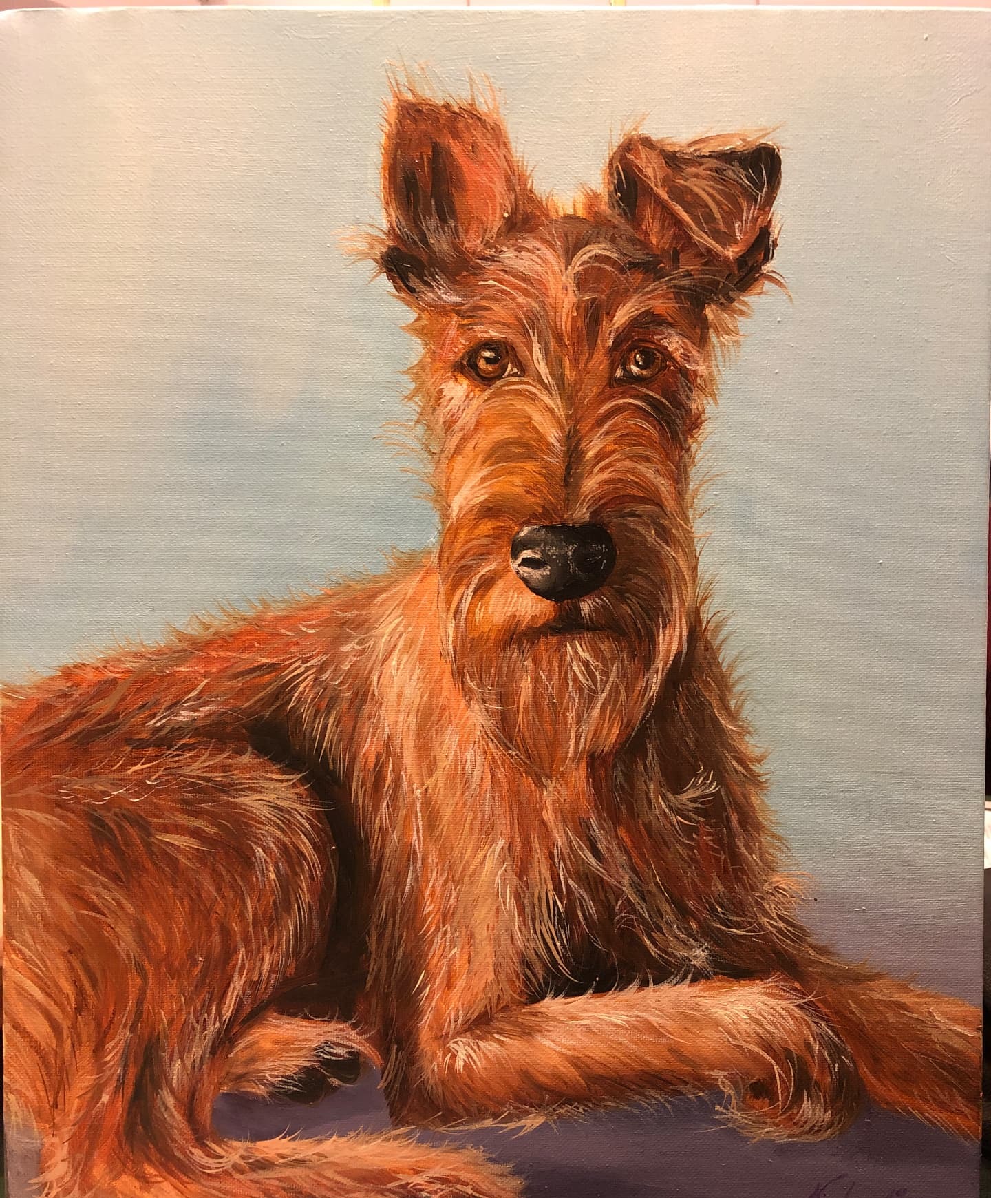 Realistic painting of a wiry red Irish terrier lying down against a pale blue ground